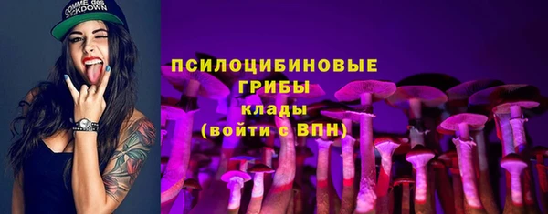 хмурый Вяземский