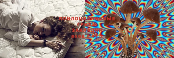 хмурый Вяземский