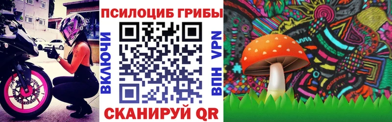Галлюциногенные грибы Psilocybe  Купить закладки  Бежецк 